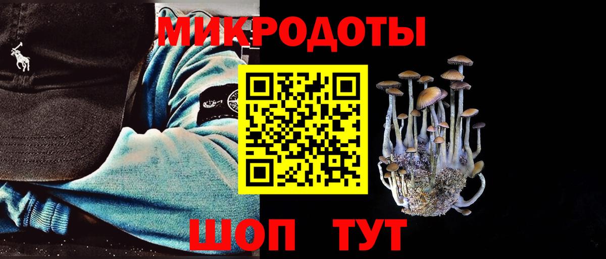 Псилоцибиновые грибы Cubensis Чернушка