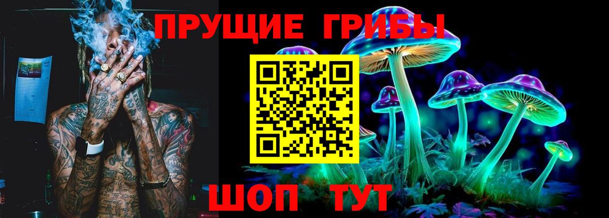 Чернушка  Галлюциногенные грибы Psilocybe  Вход с VPN 