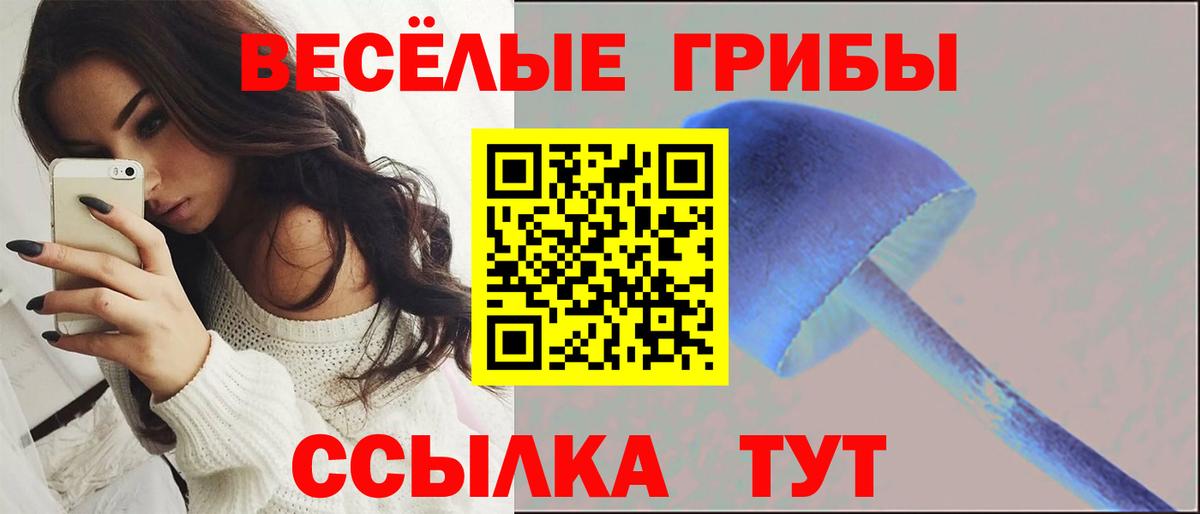 Псилоцибиновые грибы MAGIC MUSHROOMS Чернушка