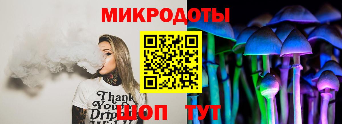 Галлюциногенные грибы Psilocybe  Чернушка 