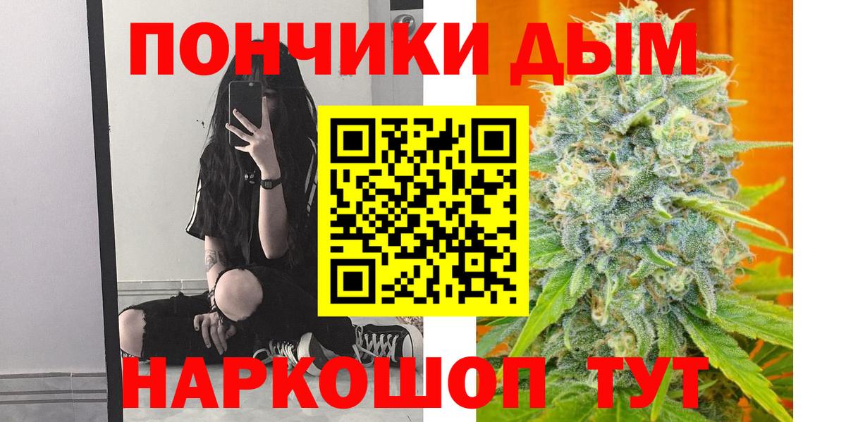 Шишки марихуана конопля Чернушка